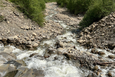 Luzern: privé-tour met e-bike langs 4 meren en boottocht op het VierwoudstedenmeerLuzern: privé-tour met e-bike langs 4 meren en cruise op het Vierwoudstedenmeer