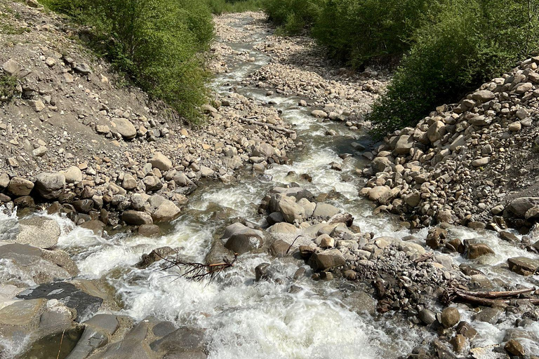 Luzern: privé-tour met e-bike langs 4 meren en boottocht op het VierwoudstedenmeerLuzern: privé-tour met e-bike langs 4 meren en cruise op het Vierwoudstedenmeer