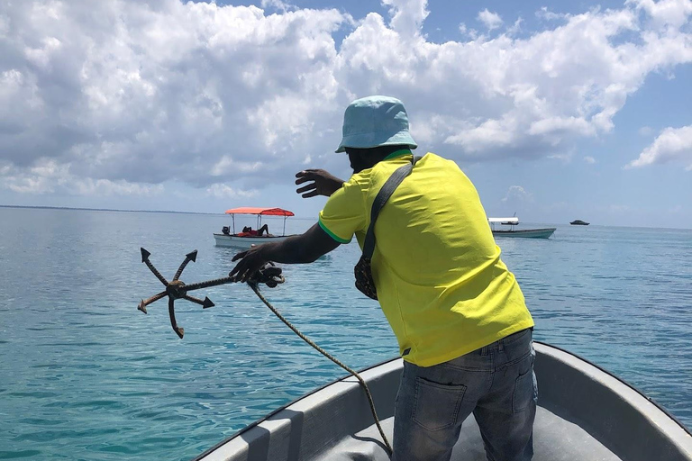 Tour privato: Delfini e Safari Blu nell&#039;isola di Pungume