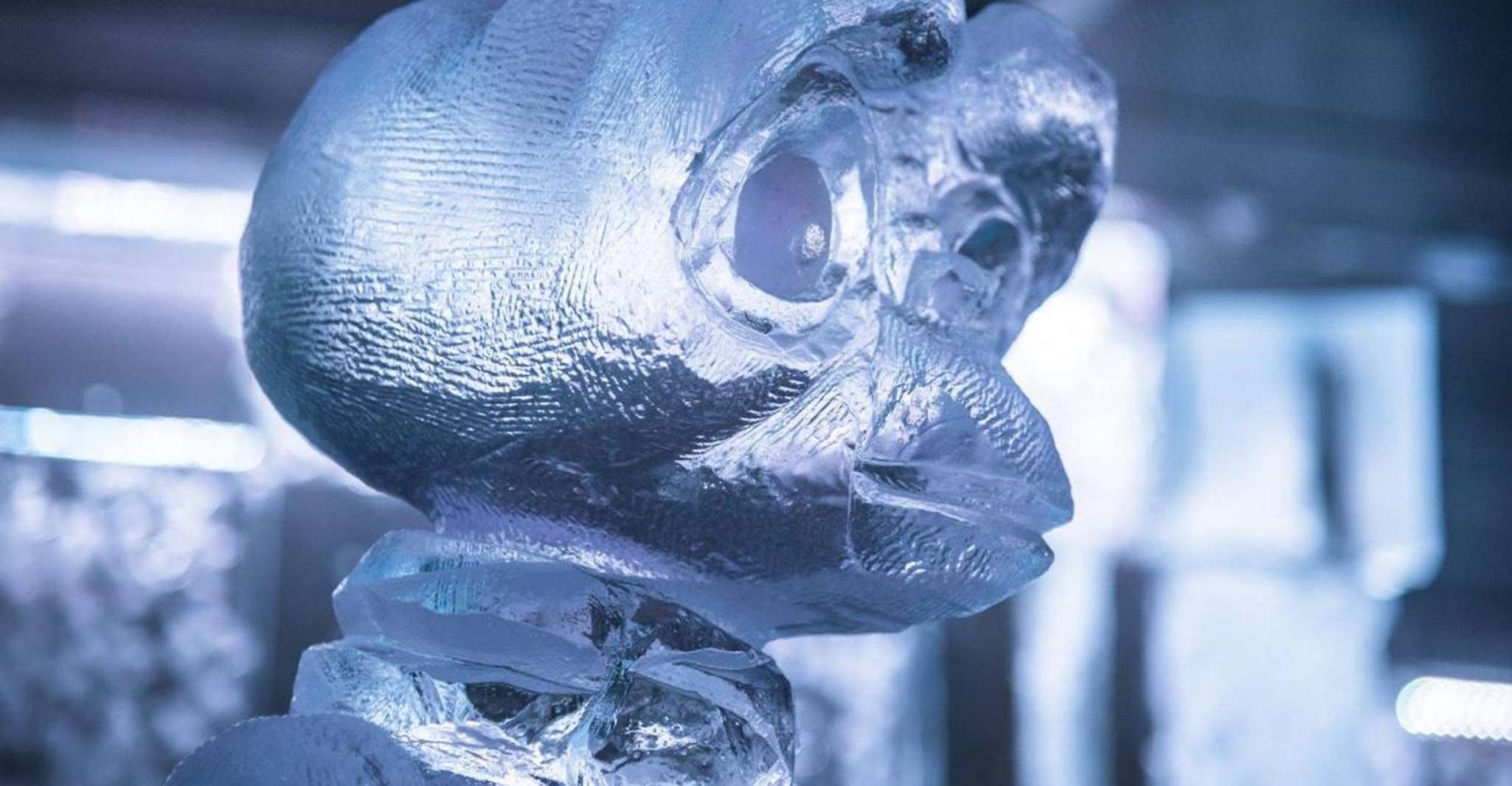 Barcelona: Icebar Experience at the Beach + 1 Drink photo 9