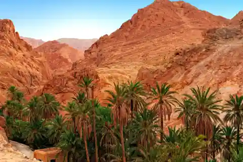 Découvrez le sud de la Tunisie en 4 jours