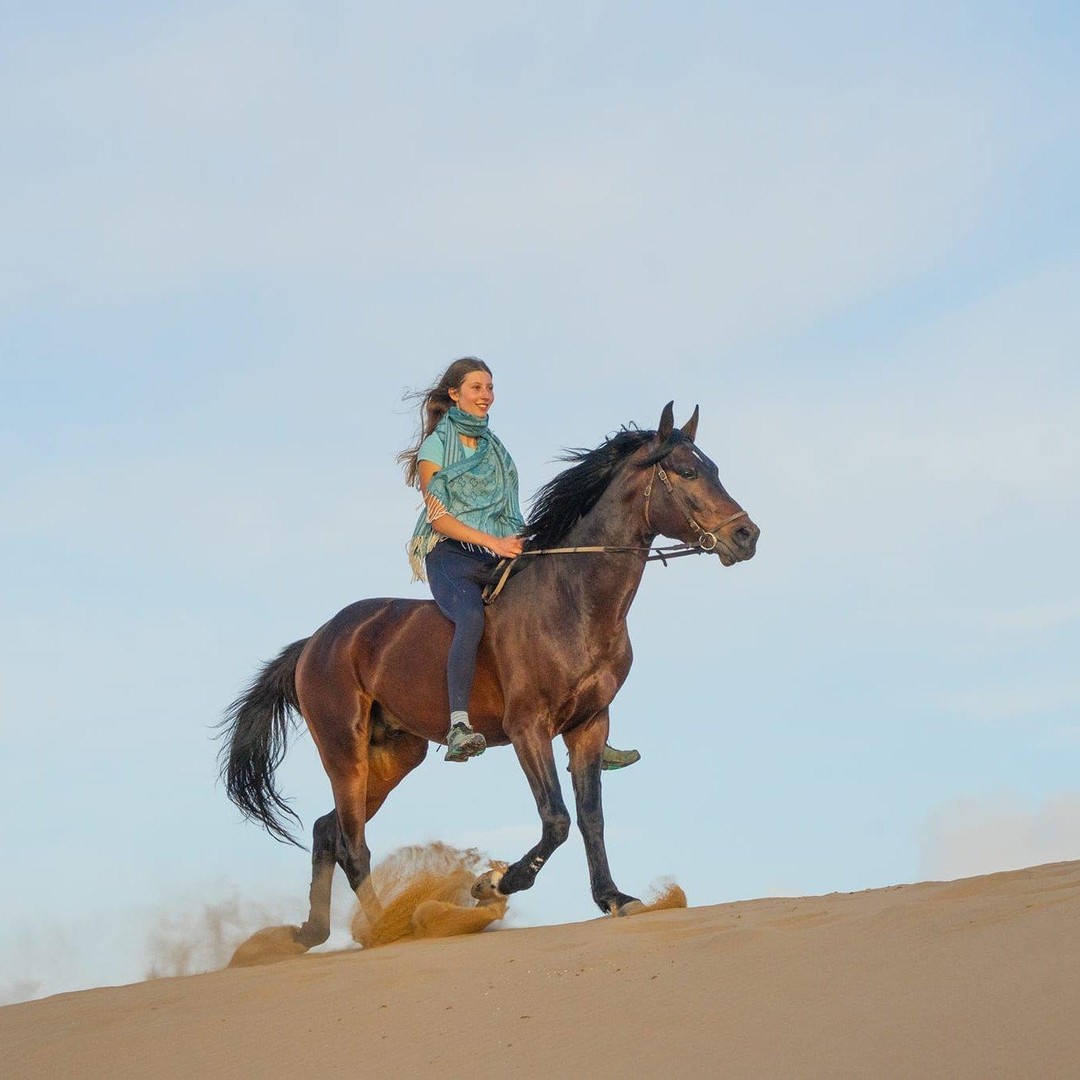 Essaouira : balade à cheval au coucher du soleil avec dîner en option - equitation