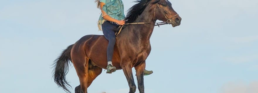 Essaouira : balade à cheval au coucher du soleil avec dîner en option