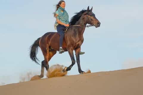 Essaouira : Balade à cheval au coucher du soleil avec dîner en option