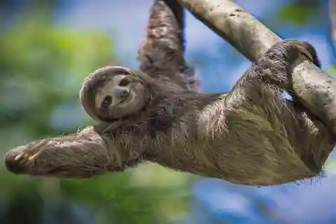Manuel Antonio Park: Manuel Antonio Park Nature Guidad tur