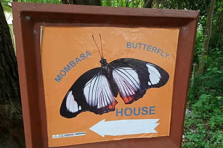 Mombasa :Fort Jesus,Butterfly House And Old Town Guided Tour