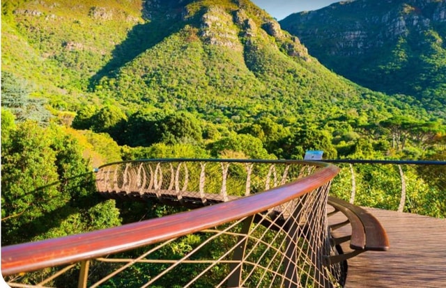 Private Tour: Table Mountain, Constantia Wine & Kirstenbosch