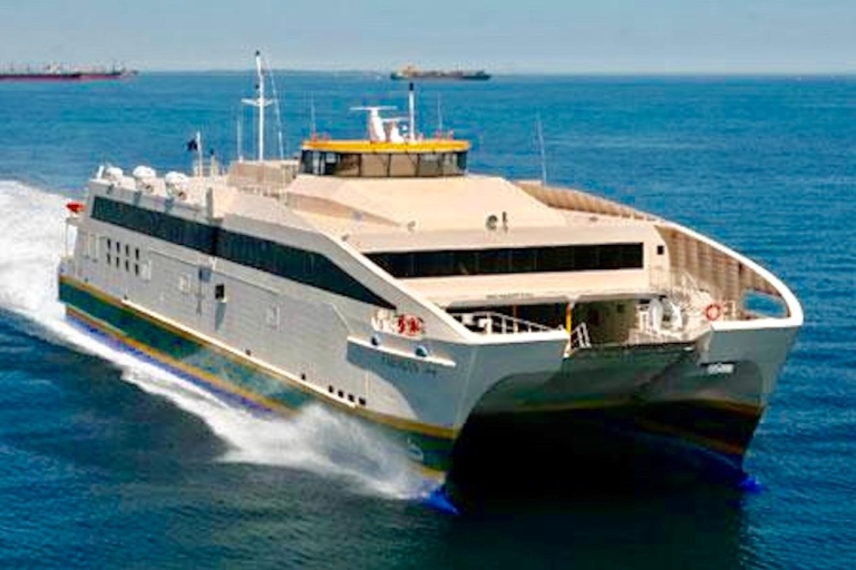 Vanuit Miami: dagtrip naar Bimini Bahama's per veerbootVanuit Miami: dagtrip naar Bimini-eiland op de Bahama's