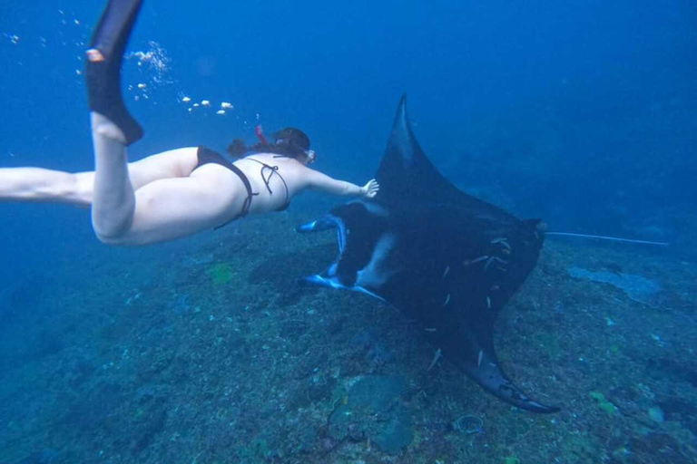 Da Bali: Tour di snorkeling in 3 punti a Nusa Penida e West IslandSnorkeling condiviso - Punto di incontro al porto di Sanur