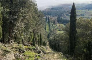 Siena: Fahrradtour durch die Landschaft von Sovicille mit malerischen Picknickpausen