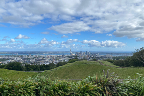 Auckland Volcanoes Full-Day Small Group Tour
