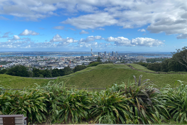 Auckland Volcanoes Full-Day Small Group Tour