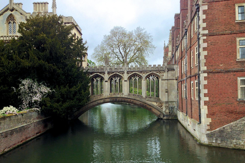 London: Cambridge-Newton to Nobel Prizes Guided Walking Tour