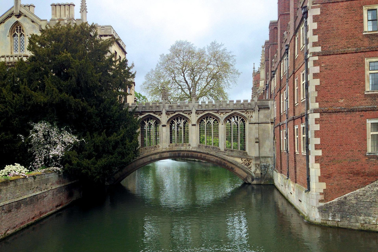 London: Cambridge-Newton to Nobel Prizes Guided Walking Tour