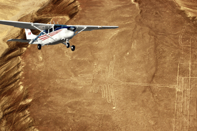 Lima: Paracas, Huacachina, and Nazca Lines Flight (2 days)