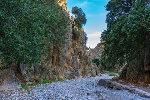 Imbros Gorge Hike: Chania Pickup & Return Transfer Included