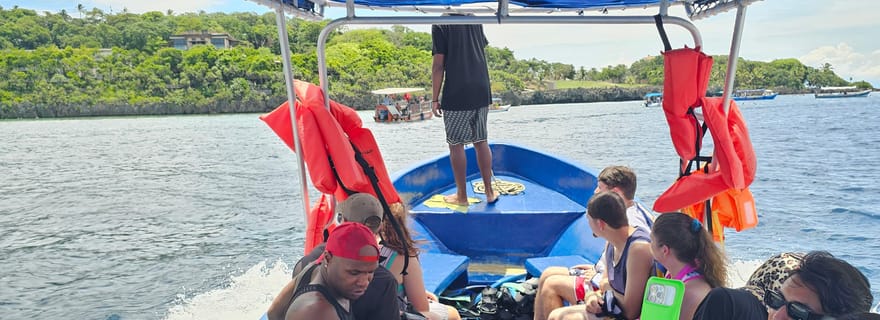 Roatan : demi-journée de plongée avec masque et tuba et plage