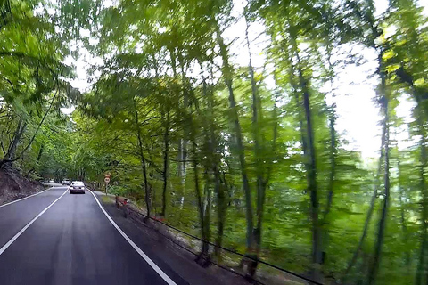 Kakheti Homeland of wine (Sighnaghi+Bodbe+Telavi)