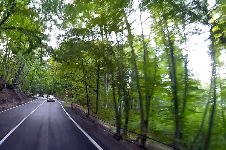 Kakheti Homeland of wine (Sighnaghi+Bodbe+Telavi)