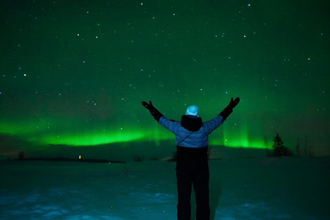 Tromsø: Excursão à aurora boreal com avistamentos garantidos