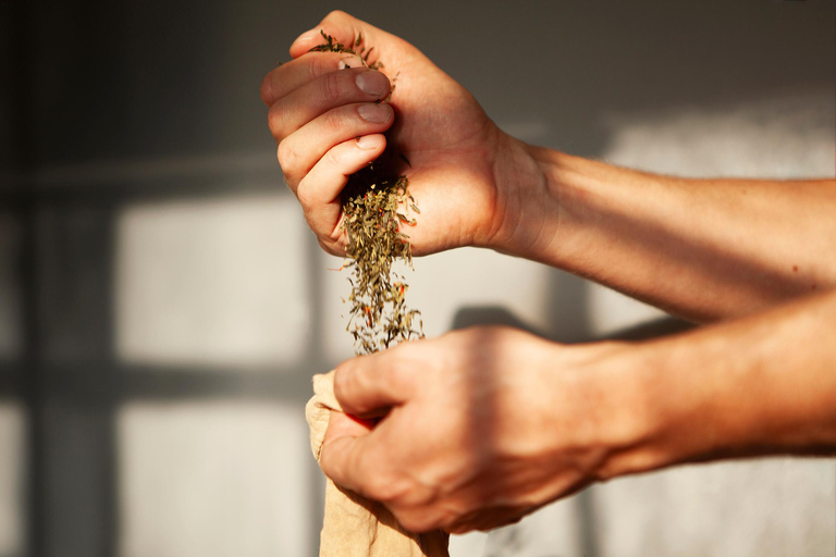 Copenaghen: Esperienza di degustazione di kombucha prodotta localmenteDegustazione di kombucha