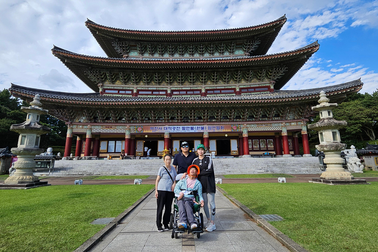 un viaggio sull&#039;isola di Jeju in sedia a rotelle (WHEELCHAIR TOUR)