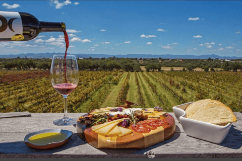 León: Tour de vinhos em Viñedo Leones e exploração do centro da cidadeLeón: Visita a Viñedo Leones e explora o centro da cidade