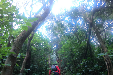 Kandy: Waterfalls and Local Village Day Tour with Lunch