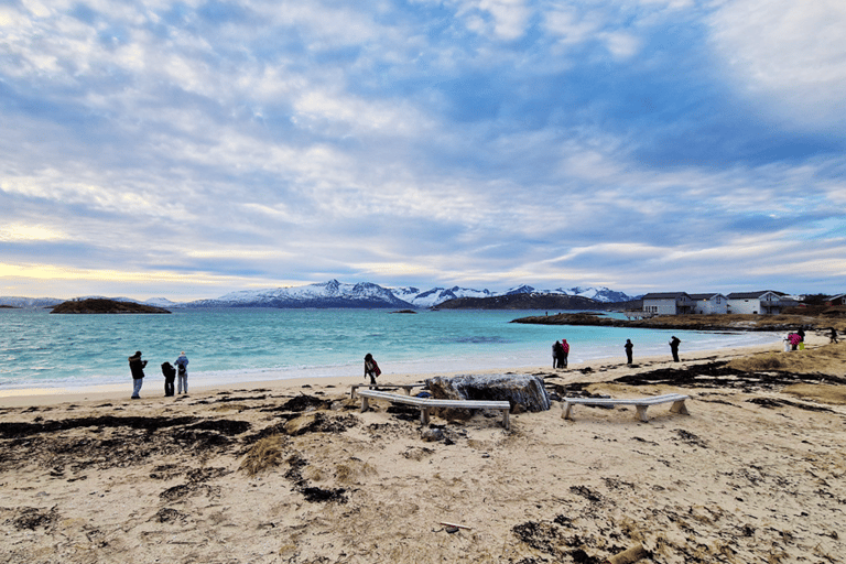 Tromsø Fjord Cruise - With a stop at Sommarøy Island