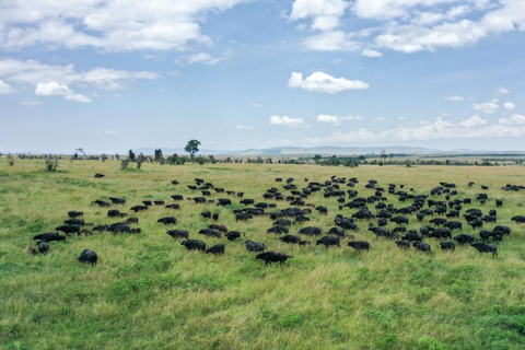 3-Day Maasai Mara Safari