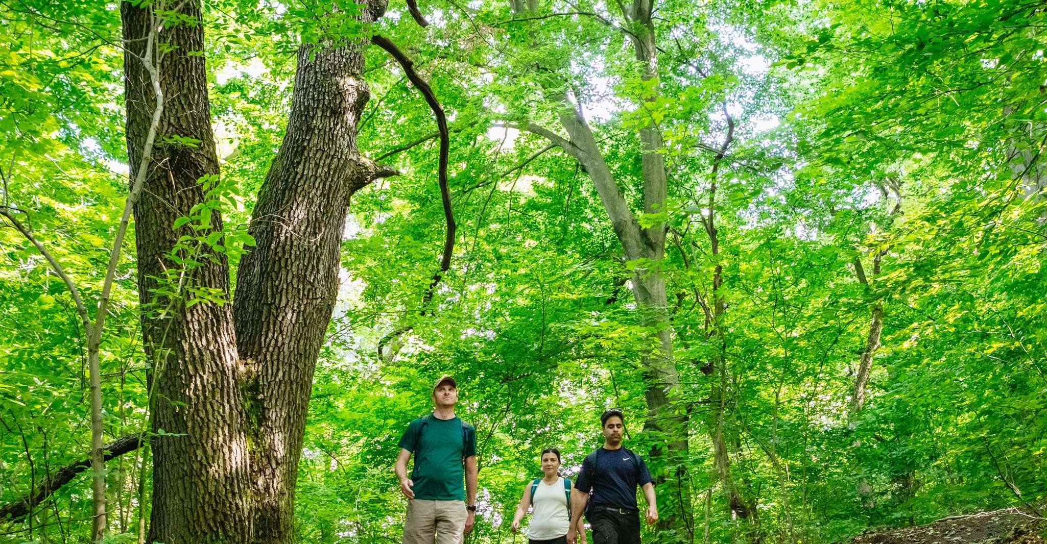 Budapest: Buda Hills Guided Hiking Tour with Optional Lunch photo 1