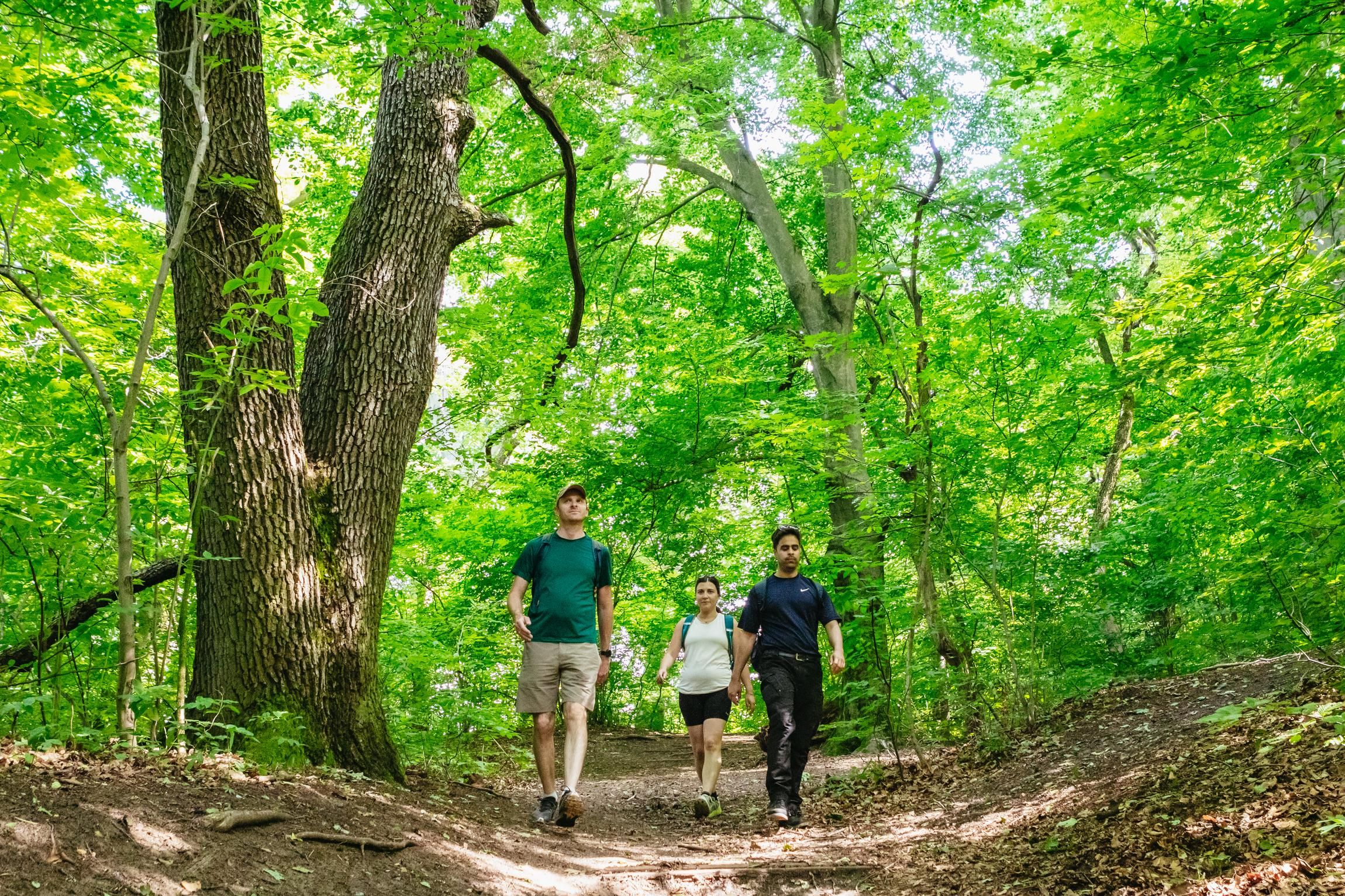 Budapest: Geführte Wanderung durch die Budaer Berge mit optionalem Mittagessen