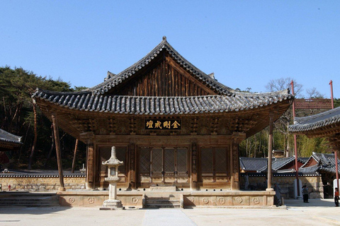 Busan UNESCO Tongdosa & Local Gourmet Small Group Tour