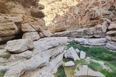 Da Muscat: Avventura a Wadi Shab, Sinkhole e Spiaggia delle Pinne