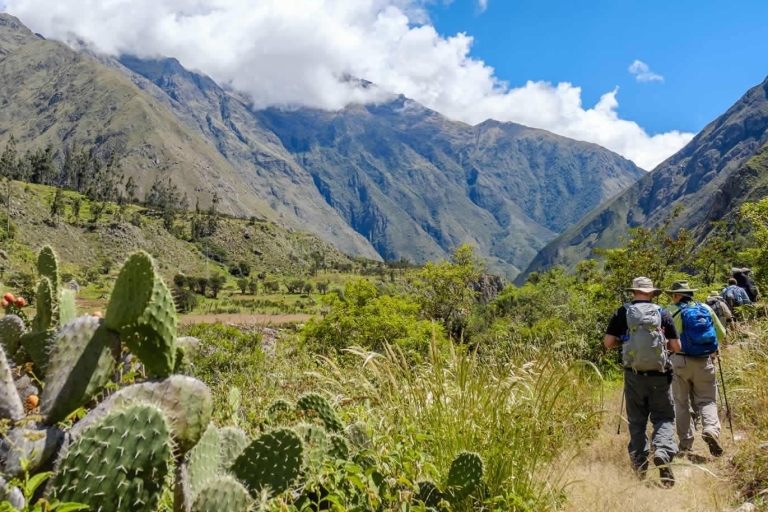 Desde Cusco: Camino Inca 4Días 3Noches
