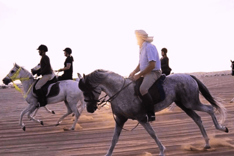 Passeio a cavalo árabe no deserto do Qatar Passeios de 3 horas.