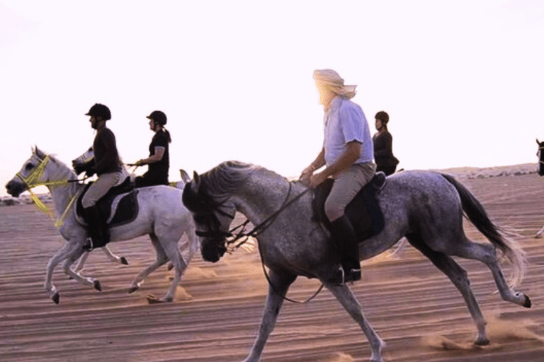 Cavallo arabo nel deserto del Qatar 3 ore di tour.