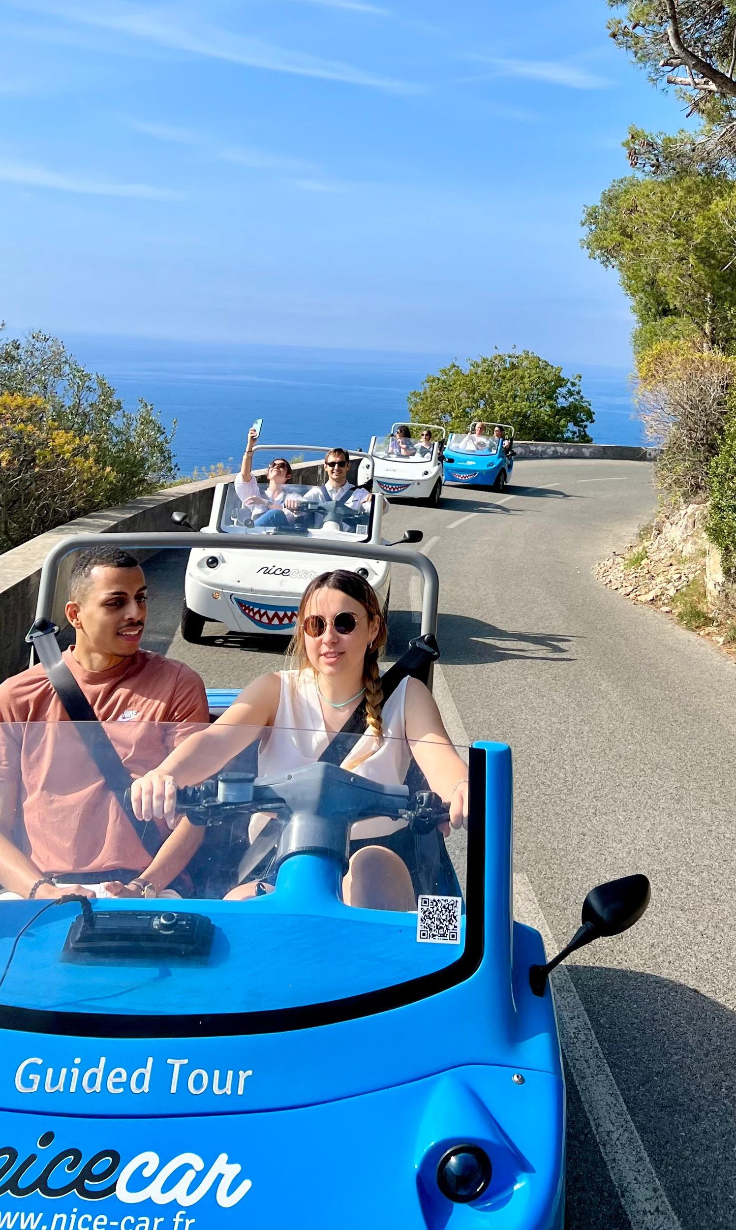Nizza: Panorama-Führung an der Côte d'Azur im offenen Elektroauto