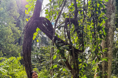 Chiang Mai: The Original Sticky Waterfalls & Thai Cooking