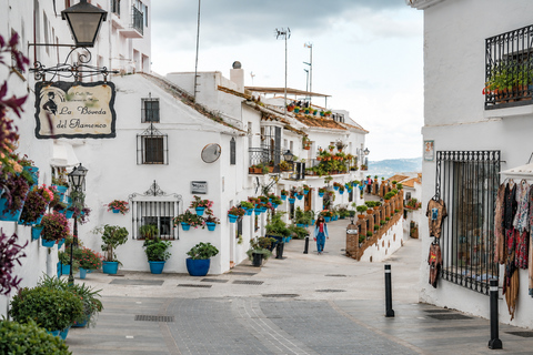 Málaga: Marbella, Mijas,Puerto Banús, Colomares Castle Tour