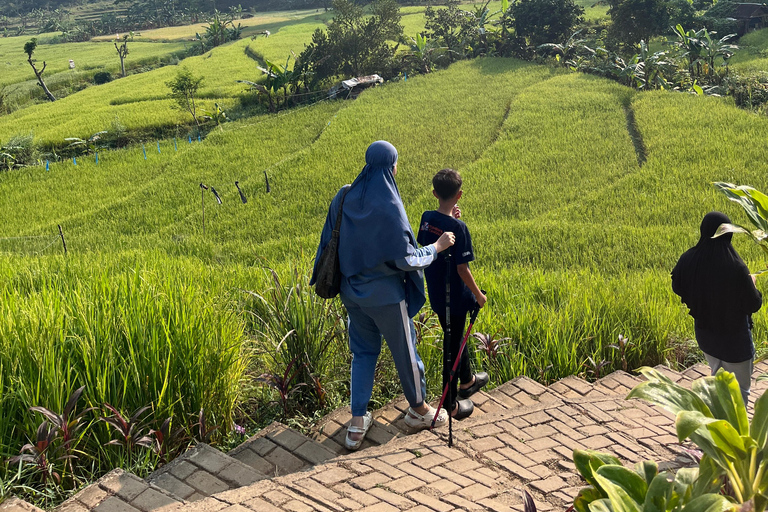 Bogor: Hidden Waterfall Trek & Local Lunch (Leuwi Asih)