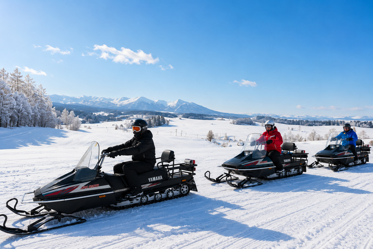 From Sapporo: Snow Fun, Shirahige Falls & Ningle Terrace