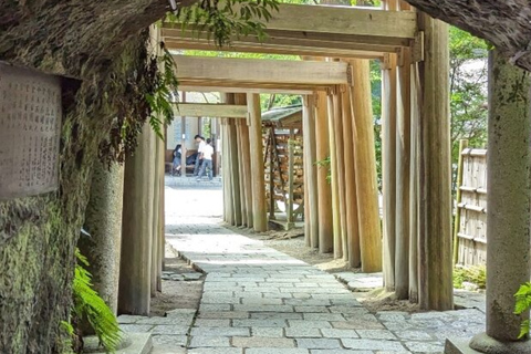 From Tokyo: Kamakura Private Tour with Great Buddha & Bamboo