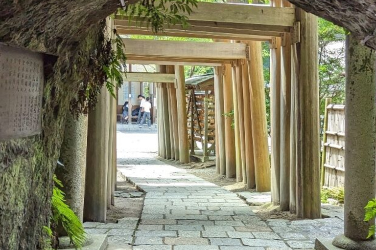 From Tokyo: Kamakura Private Tour with Great Buddha & Bamboo