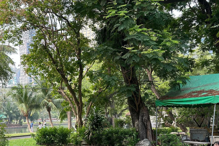 Bangkok: Ochtendyoga voor alle niveaus in Lumphini ParkBangkok: Yoga voor alle niveaus in het Lumphini Park