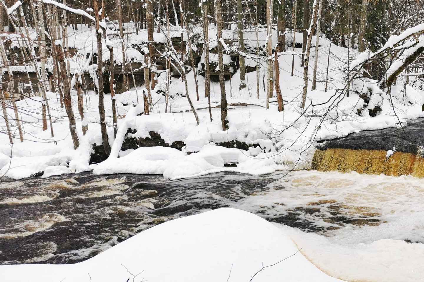 From Tallinn: Lahemaa National Park 3 Waterfall Hike