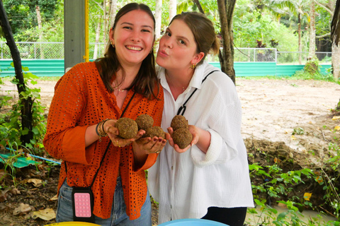 Krabi: Ao Nang Elephant Sanctuary Tour