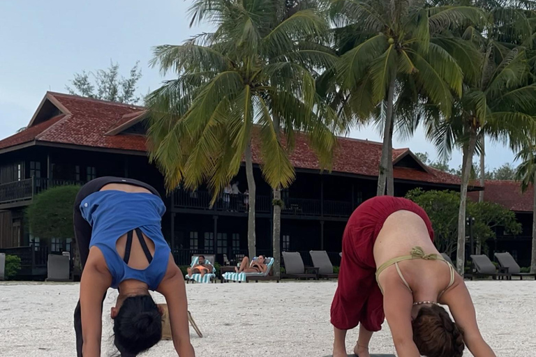 لانكاوي: اليوغا الساحرة على شاطئ الغروب على شاطئ سينانج