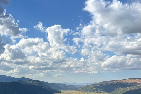 Livno: Guided Wild Horses Tour with Local Aperitif