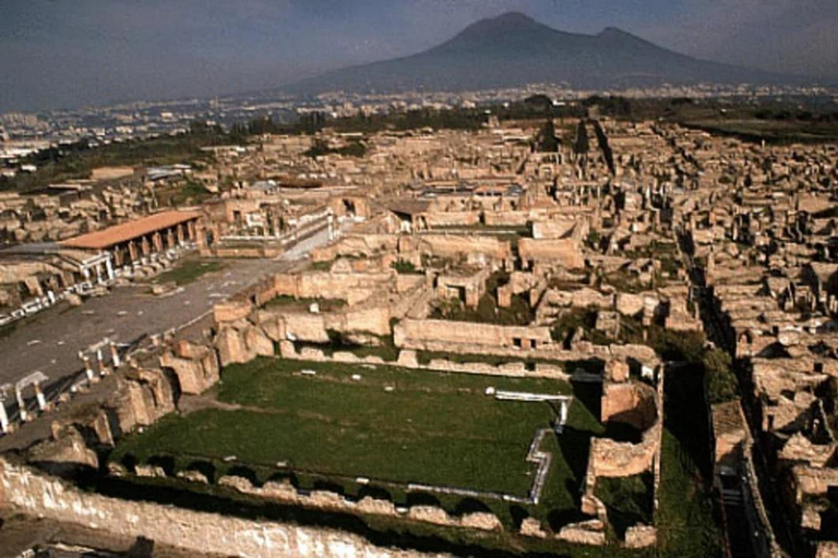 Pompeii: 2-Hour Group Walking Tour with Skip-the-Line Option 2-Hour Walking Tour (Without Entrance Tickets)